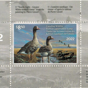 Northern Light – White Fronted Goose – Pierre Girard
